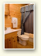 Picture of Cabin batthroom.